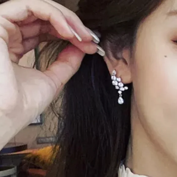 Luxury Climbing Earrings - Picture 3 of 5